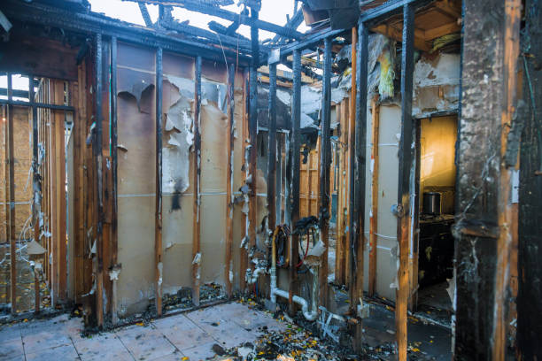 Professional Fire Damage Removal technician working in Canyon Creek, WA